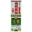 小林製薬 薬用 生葉 無研磨タイプ 95g(4)