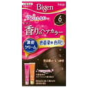 ホーユー ビゲン香りのヘアカラークリーム 6 ダークブラウン