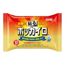 興和新薬 ホッカイロ 貼るレギュラー 10個(4)