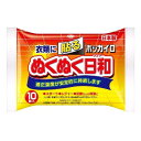 興和新薬 ホッカイロ ぬくぬく日和 貼るタイプ 10個入