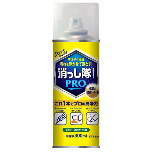 ABC商会 汚れ落とし スプレー 消っし隊! PRO 300ml KTS-300