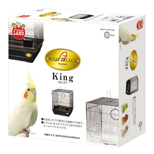 バードパレス キング