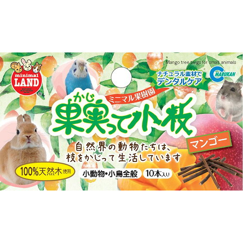 マルカン 果実って小枝 マンゴー 10本