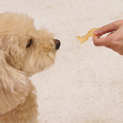 ドギーマンハヤシ 無添加良品 ふわふわ満足ささみ 40g