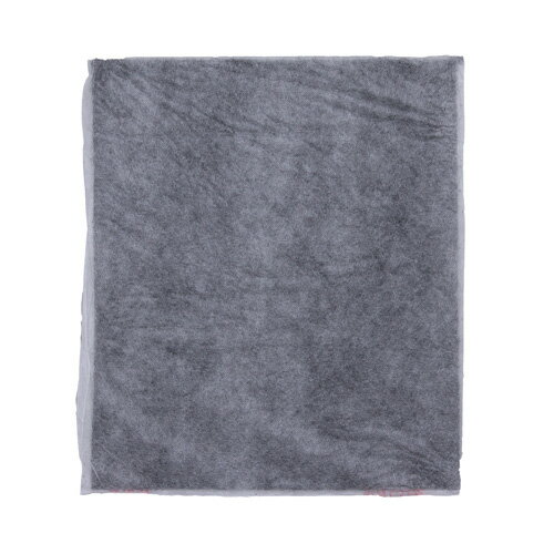 アイリスオーヤマ 加湿空気清浄機 HXF-A25用 活性炭フィルター HXF-A25TF