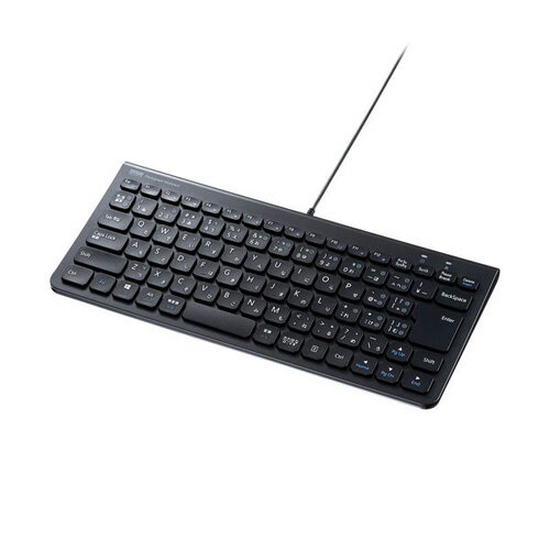 English Keyboard - サンワサプライ USB Type-Cスリムキーボード SKB-SL32CBK