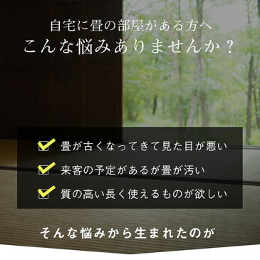 【送料無料】【メーカー直送】純国産 い草 上敷き はっ水 カーペット 双目織 江戸間6畳 （約261×352cm）