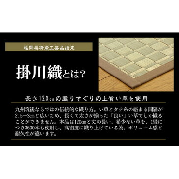 【送料無料】【メーカー直送】純国産 掛川織 い草カーペット 松川 ベージュ 本間6畳 （約286×382cm）