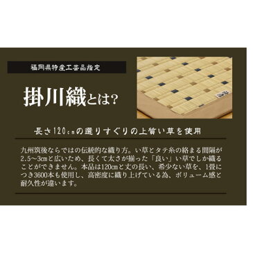 【送料無料】【メーカー直送】純国産 掛川織 い草カーペット スウィート 江戸間6畳 （約261×352cm）