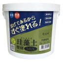 フジワラ化学 練り済み内装用壁材 珪藻土壁材MIX モエギ 3kg