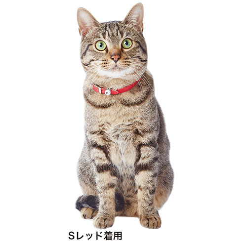 ペティオ Petio アドメイト レザースタイルキャットカラー S ネイビー