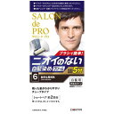 ダリヤ サロンドプロ 無香料ヘアカラー メンズスピーディ 白髪染め 6 自然な黒褐色