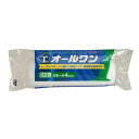 大塚刷毛製造 オールワン 13mm スモール 4S-AOB