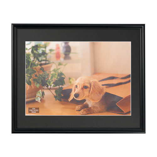 ナカバヤシ 樹脂製写真額 A3判 ブラック F-SP-113-D