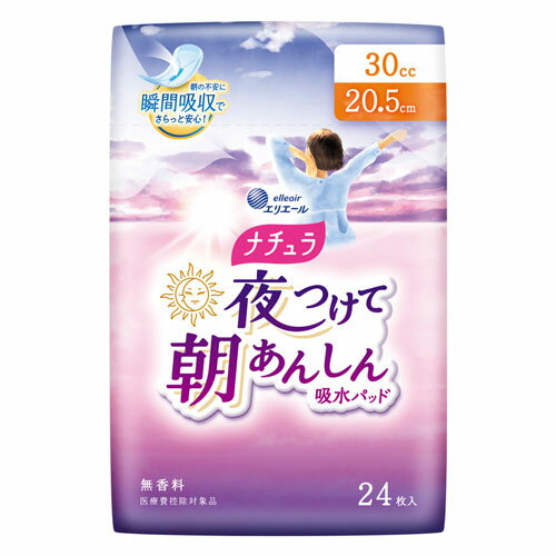 大王製紙 ナチュラ 夜つけて朝あんしん 吸水パッド 20.5cm 30cc 24枚