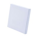 ナカバヤシ 紙製組立キャンバス 130×130mm 2枚セット ホワイト PAC-1313-2PWH
