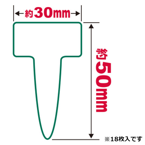 ����ѥ�٥� T�� �� 18����