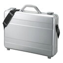 サンワサプライ PCアルミケース BAG-AL4N2