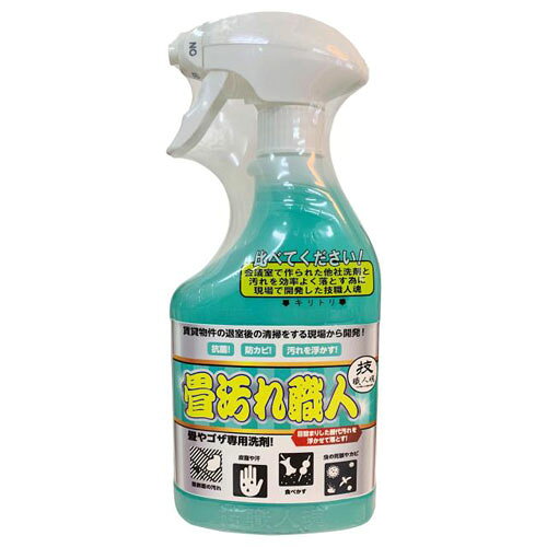 技職人魂 畳汚れ職人 500ml