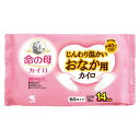 桐灰 命の母カイロ じんわり温かいおなか用カイロ 10個入(4)