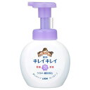 ライオン キレイキレイ 薬用泡ハンドソープ フローラルソープの香り 本体 250ml(4)