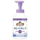 ライオン 業務用キレイキレイ泡HSフローラルソープ550ML