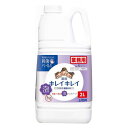 ライオン キレイキレイ薬用泡HSフローラルソープ 2L