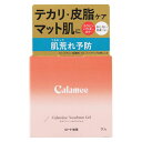 ロート製薬 カラミー カラミンノーセバムジェル 70g(4)