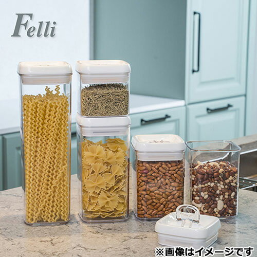 Felli フリップタイト 食品保存容器 密閉容器 レギュラー バラエティ 5個セット
