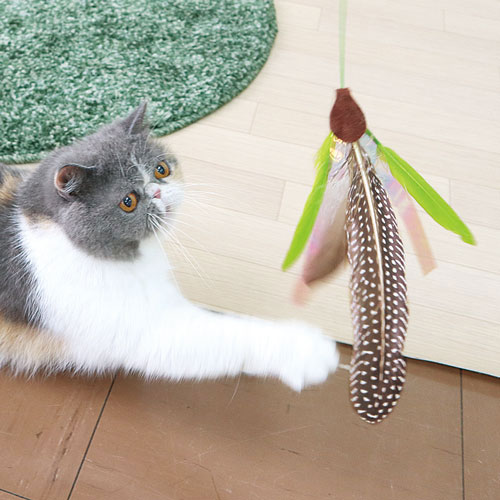 -------------------------------------------------------------- 画像はイメージです。 ※ PC環境により実際の色味や質感と異なって表示される場合がございます。 ※ 部品・パーツなどの一部の商品では本体の商品画像を使用しております。 ※ 製品の仕様・画像・パッケージは、メーカー側から予告なく変更される場合があります。 -------------------------------------------------------------- 天然羽根とカシャカシャフィルムで大満足！弾力のある線材＋ひものダブルで遊ばせやすい！ひもタイプだからアクティブに遊べます。■商品使用時サイズ棒の長さ46cm／ひもの長さ58cm■材質/素材塩化ビニル、スチール、天然羽根、天然ゴム、ポリエステル、レーヨン■原産国または製造地日本■保管方法・幼児や子供、ペットが勝手に持ち出さない場所に保管してください。・劣化を早める原因となりますので、直射日光の当たる所や湿気の多い所で保管しないでください。■使用上の注意点【猫が好きな天然の羽根】狩猟本能が刺激されて興奮し、おもちゃを噛んで壊そうとします。天然の羽根は壊れやすいので、先端のおもちゃ部分を完全に捕まえた時は、一旦取りあげてから再び遊ばせてください。※天然素材のため、形・サイズが異なります。ご了承ください。【使用及び保管上の注意】・猫の玩具以外の用途には使用しないでください。・使用前に壊れていないか(その都度)点検してください。・飼い主が遊ばせる玩具ですので、絶対に猫だけで遊ばせないでください。・口に入る玩具ではありません。猫が口に入れた時は必ずやめさせてください。・色落ちしますので、猫の唾液がついた時は速やかに乾燥させてください。・万一、人やペットが部品を誤飲した時はすぐに医師に相談してください。・子供が使用する場合は保護者の方が使用方法などを指導してください。・火災、火事の恐れがありますので、火気のそばでの使用や保管をしないでください。【警告】・この商品は弾力性のある鋼鋼線を使用しているため、不規則な動きをします。・危険ですので、人や猫に絶対にあてないこと。・猫が興奮して遊びますので、子供のいる場所や段差、危険物や火気の付近では絶対に使用しないこと・猫が飛びかかってくる場合があるので、なるべく人から離して使用すること。・跳ね返りに注意すること。 【#119】　