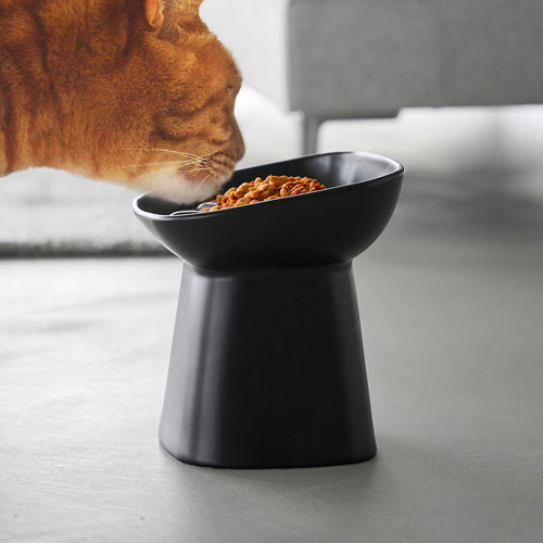 山崎実業 早食い防止陶器ペットフードボウル ヌークス 斜め H17 ブラック 10560