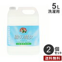 まとめ買い ミマスクリーンケア 緑の魔女 ランドリー 5L 業務用 2個 液体洗剤 洗濯 衣類用洗剤 液体 洗濯洗剤 ドラム式 衣類洗剤 手に優しい エコ洗剤(3)