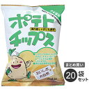 まとめ買い 創健社 ポテトチップス うす塩味 60g 20袋セット 国産ジャガイモ100%使用 植物油使用 海水塩使用 おやつ 安心 安全