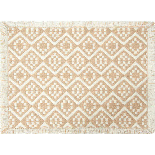 �����ȡ� Ag+���ѥ����Х��ޥå� 48��66 �١�����