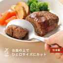 【クーポンで14%値引き】ポスト投函 オークス leye レイエ すくえるナイフ LS1509