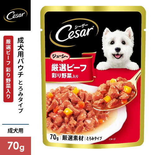 �ޡ�������ѥ� �������� �ѥ��� �����ӡ������� ������� �Ȥ��ߥ����� 70g CEP9