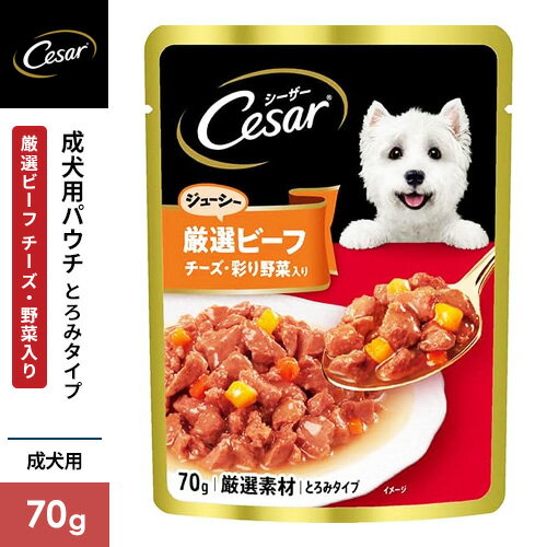 �ޡ�������ѥ� �������� �ѥ��� �����ӡ������� ��������������� �Ȥ��ߥ����� 70g CEP10