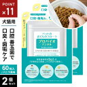 ポスト投函 プレミアモード プロバイオデンタルペット 60粒 2個セット 粒タイプ