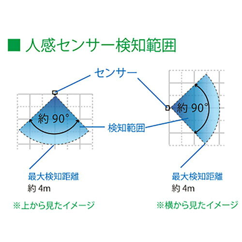 サンプル画像2