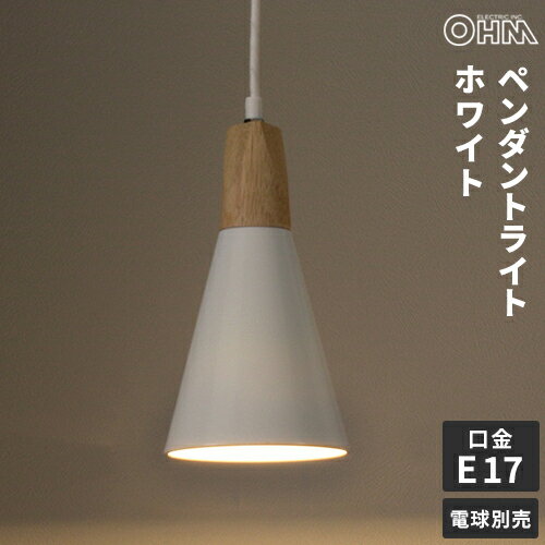 �������ŵ� �ڥ����ȥ饤�� E17 �ۥ磻�� LT-YN117AW-W