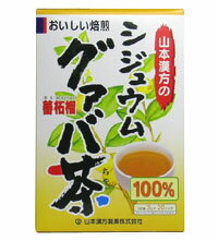 【送料無料】グァバ茶（3g×20）