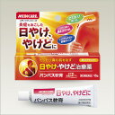 【第2類医薬品】パンパス軟膏 15g