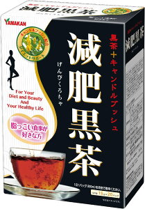 【送料無料】山本漢方 減肥黒茶 〈ティーバッグ〉15g×20包