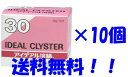 【第2類医薬品】【送料無料】アイデアル浣腸30g×10入り×10個セット
