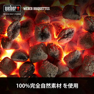 バーベキュー コンロ チャコール ブリケット (炭) 5kg BBQ グリル キャンプ 17651 ウェーバー ココ ナッツ ヤシ 【Weber公式】通販格安セール情報 楽天 通販