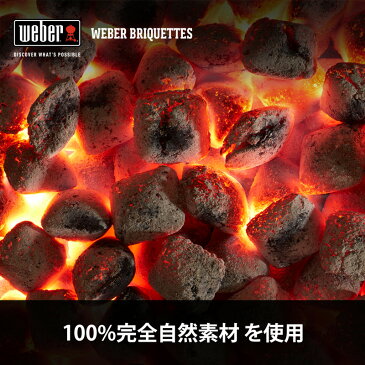バーベキュー コンロ チャコール ブリケット (炭) 5kg BBQ グリル キャンプ 17651 ウェーバー ココ ナッツ ヤシ 【Weber公式】