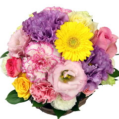 https://thumbnail.image.rakuten.co.jp/@0_mall/webflora/cabinet/birthdayflower3/imgrc0074220171.jpg