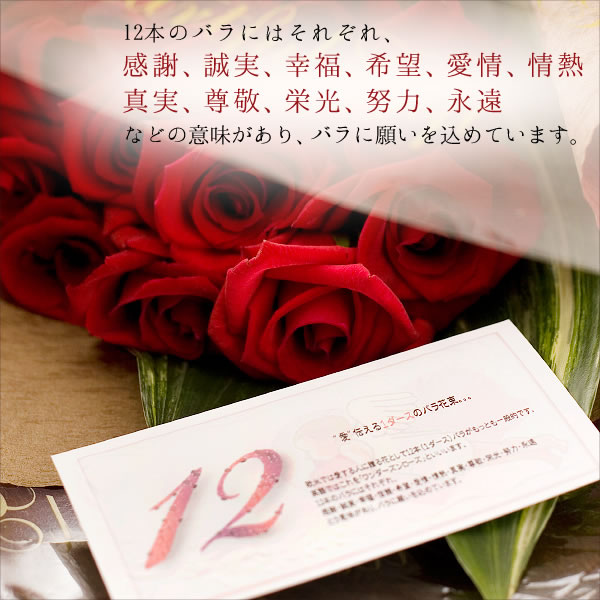 誕生日 花 ギフト 一ダースのバラ (スペシャルレッドローズ花束) 誕生日プレゼント 女性 フラワーギフト 誕生日ギフト バースデープレゼント 彼女 母親 妻 母の日 【HLS_DU】【fsp2124】【RCPnewlife】webflora 05P02jun13格安通販　バレンタイン　人気　ランキング