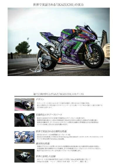 TRICKSTAR �ȥ�å������� �졼���󥰥ե륨���������ȥޥե顼 IKAZUCHI (�����ť�) ���硼�� Ninja ZX-25R KAWASAKI ���掠�� �ե륨���������ȥޥե顼 �ޥե顼 ������󥵡������ס��֥�å����ǥ������(������)