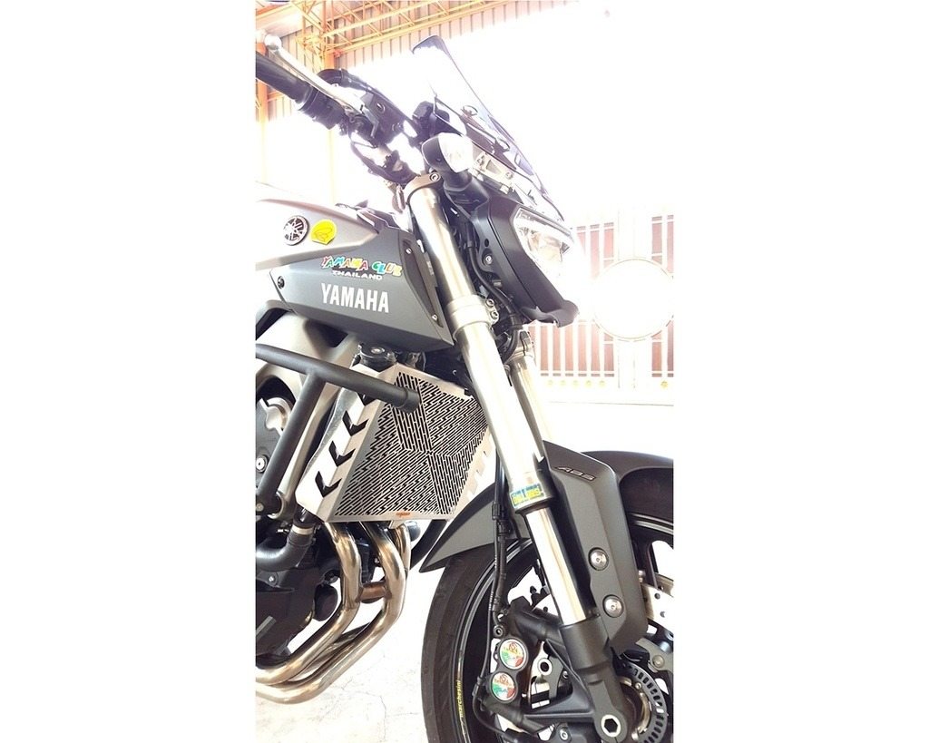 GUARDO ガルドー Stainless Steel Radiator Guard MT-09|FZ-09 FZ-09 MT-09 トレー...
